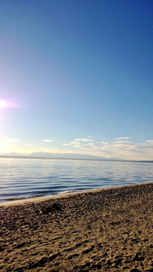 golden-gardens-sparrowsoirees