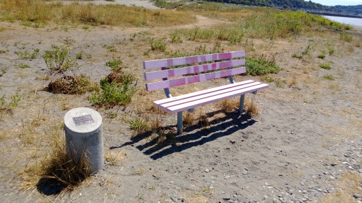 bench at golden garden-sparrowsoirees