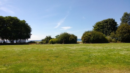 field to beach- sparrow soirees