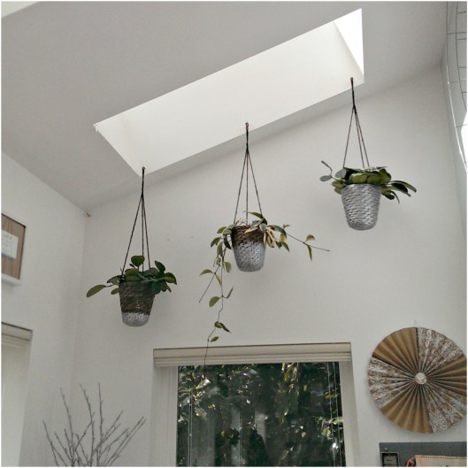 hanging-baskets-diy2-sparrowsoirees